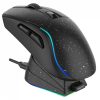 Chuột Dareu A950 Triple Mode (RGB) 1 11700 dareu a950 tri mode black 1