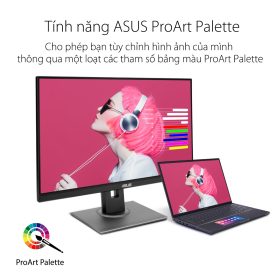 53211 pa278qv5