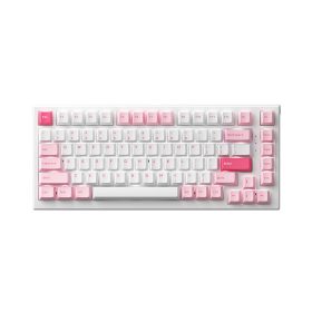 BÀN PHÍM CƠ AKKO MONSGEEK MG75 PRUNUS LANNESIANA (AKKO SWITCH V3 - CREAM BLUE) bảo hành chính hãng 12 tháng 6 74559 ban phim co akko monsgeek mg75 prunus lannesiana akko switch v3 cream blue 1