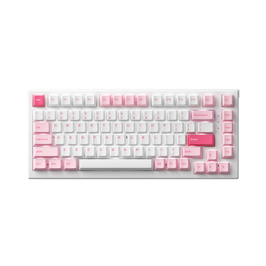 74559_ban_phim_co_akko_monsgeek_mg75_prunus_lannesiana_akko_switch_v3_cream_blue_1 74559 ban phim co akko monsgeek mg75 prunus lannesiana akko switch v3 cream blue 1
