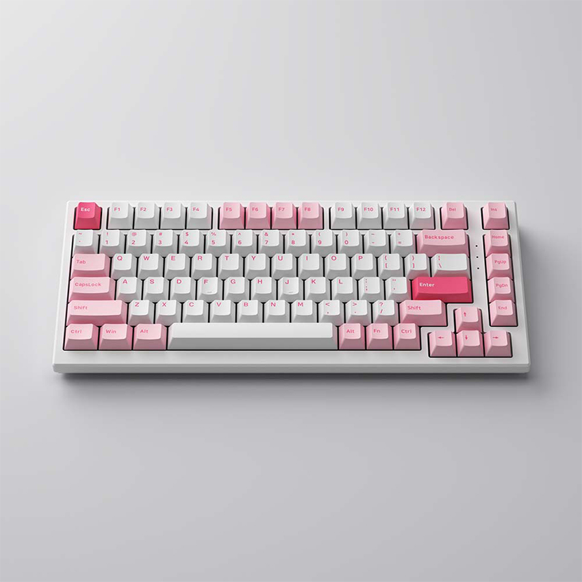 74559_ban_phim_co_akko_monsgeek_mg75_prunus_lannesiana_akko_switch_v3_cream_blue_2 74559 ban phim co akko monsgeek mg75 prunus lannesiana akko switch v3 cream blue 2